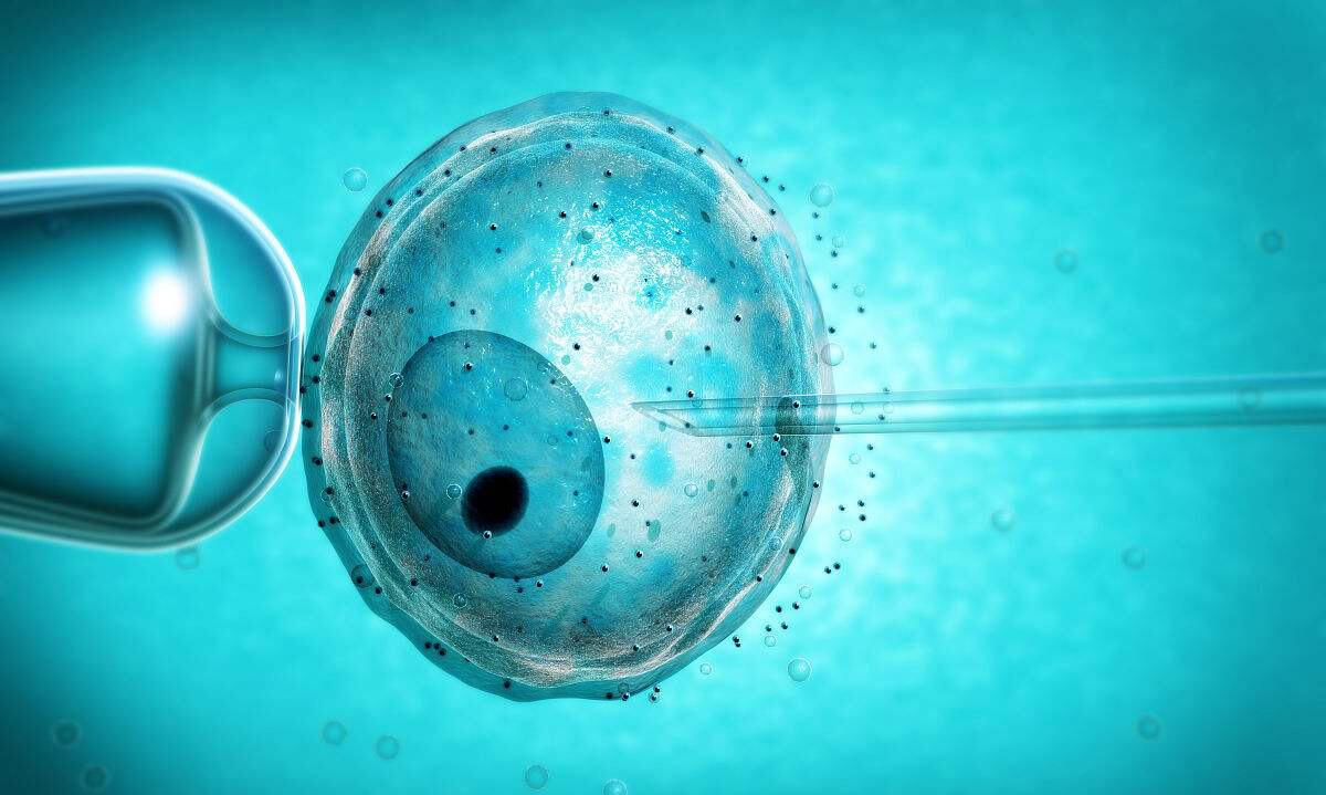 辅助生殖技术  治疗女性不孕医院现状分析