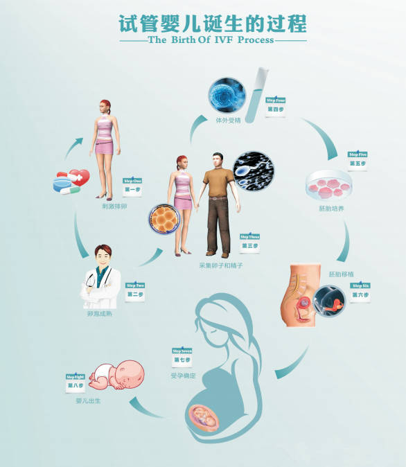 赵县奶牛同期化处理人工授精技术研究