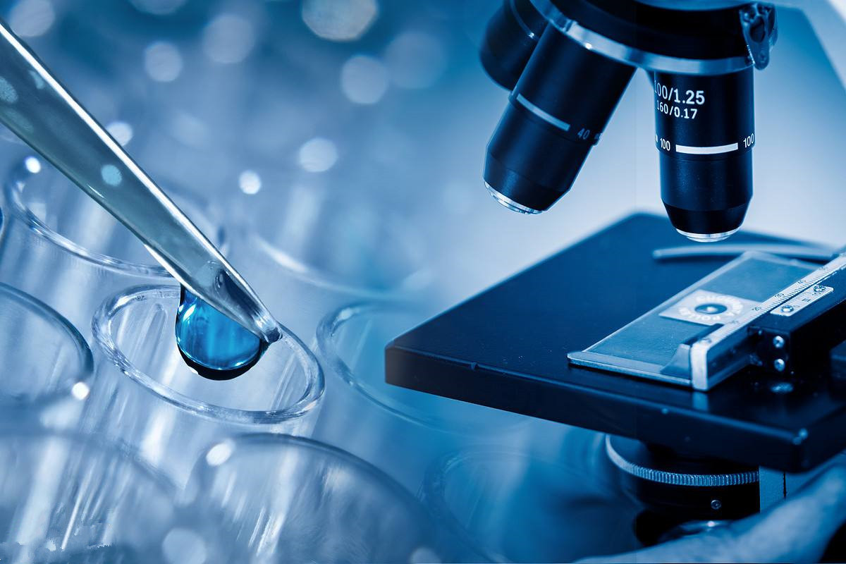 赴美生育旅游的法律与伦理考量