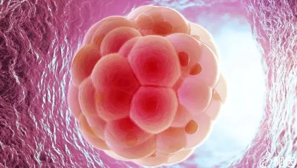 超声波检查费用影响因素分析