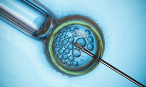 赴美生育的法律与伦理考量