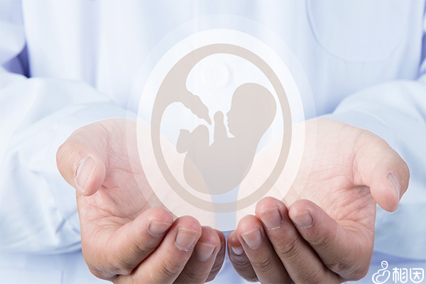 辅助生殖技术  选择医院指南