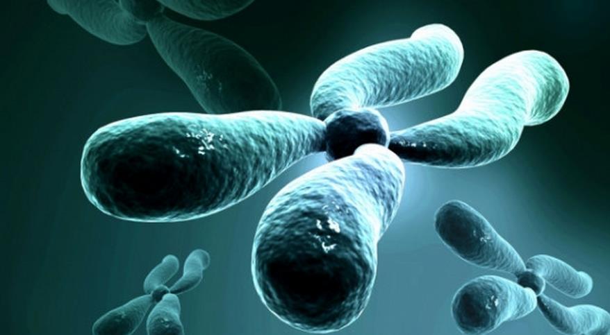 跨境生育服务产业研究