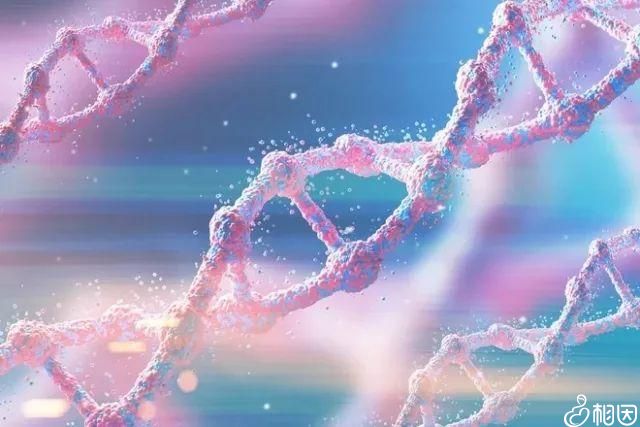 赴美预算深度解析  留学生活成本指南