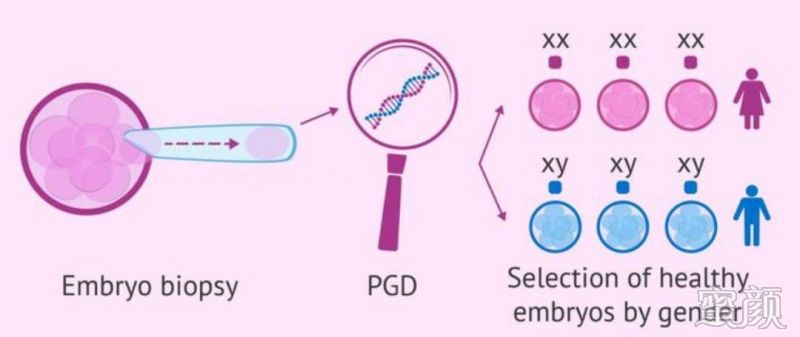 身体的结构与功能