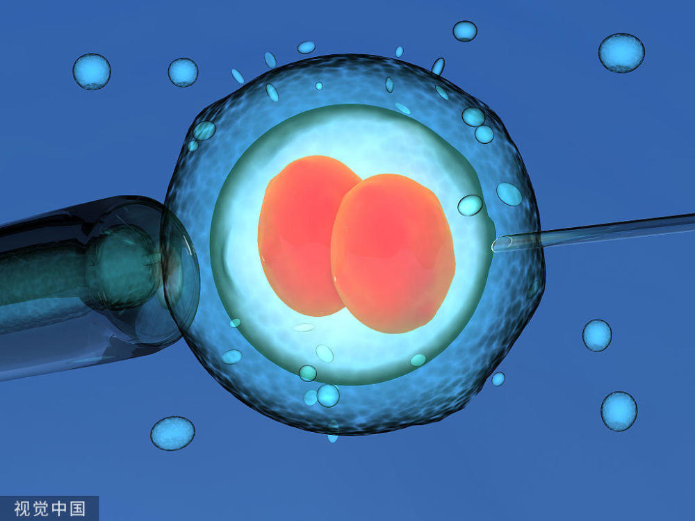 辅助生殖技术 国内第三代试管婴儿医院现状分析