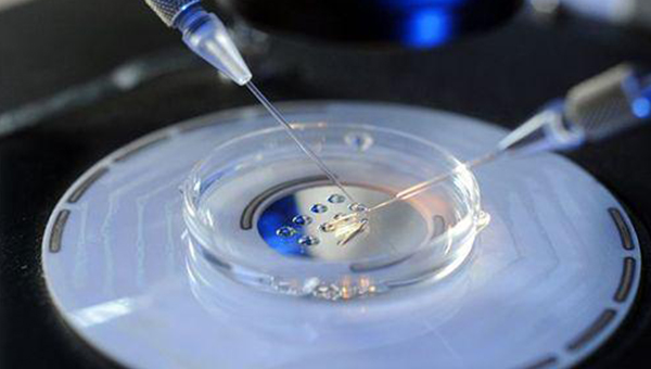 辅助生殖技术 不孕不育在线医院解决方案